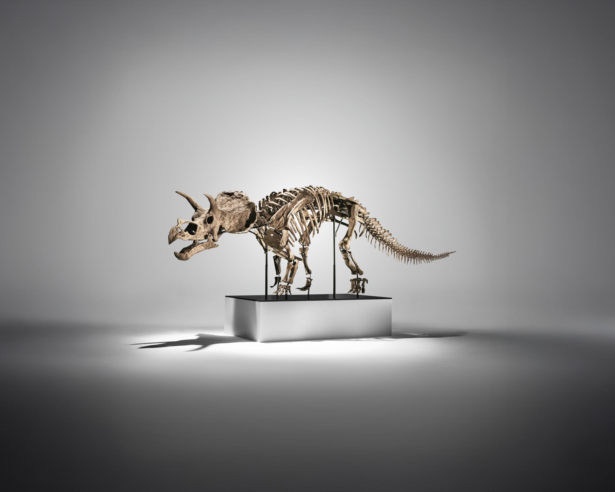 /zh/auction/NY010925